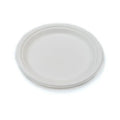 Bagasse Compostable 9-inch Plate — 500 pcs case, eco-friendly sugarcane plate for catering and takeaways, UK wholesale